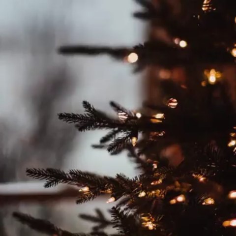 Поздравляем Вас с Новым Годом!